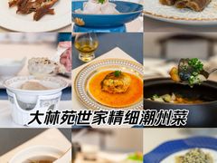 -大林苑世家精细潮州菜