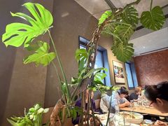 -一坐一忘云南菜(三里屯店)
