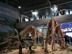 -自贡恐龙博物馆