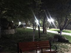 -黄村公园