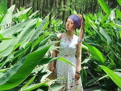 -合肥滨湖国家森林公园