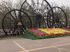 -呀路古热带植物园