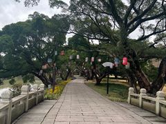 -江心屿景区