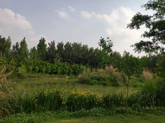 -白鹭湾湿地公园