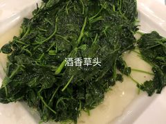 -高老庄绿色传奇(昊元生活广场店)