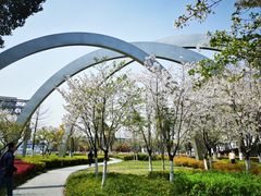 -上海虹桥国际机场