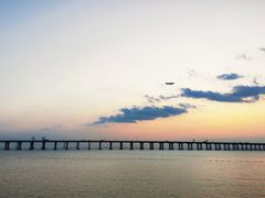 -宝安西湾红树林湿地公园