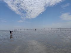 -南汇嘴观海公园