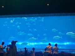 -华夏文旅海洋公园