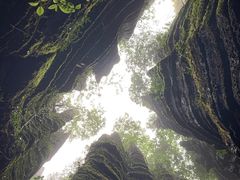 -梭布垭石林景区