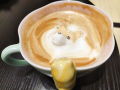 -逗柴咖啡屋·狗咖猫咖宠物桌游