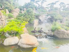 -罗红摄影艺术馆