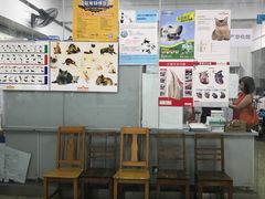 -成都民大动物医院