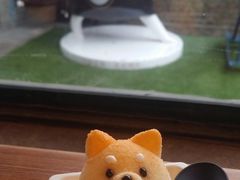 -柴犬高等学院·狗咖·柴犬售卖·宠物训练