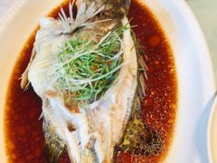 清蒸鲈鱼-玉林烤鸭店(定福庄店)