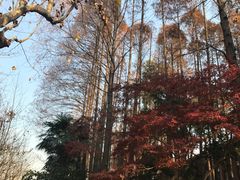 -复旦大学光华楼