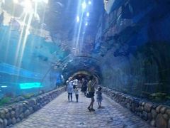 -华夏文旅海洋公园