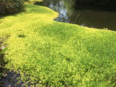 -春暖花开(西溪店)