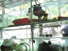 -青竹园海鲜餐厅(海天路店)