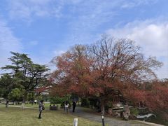 -江心屿景区