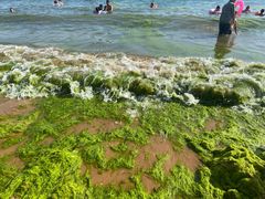 -青岛第二海水浴场