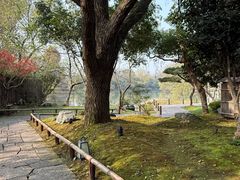 -新荣记(西溪湿地店)