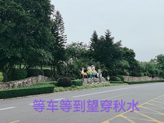-美的鹭湖森林度假区
