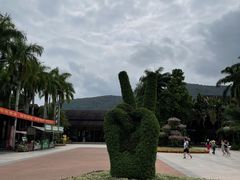 -呀诺达热带雨林