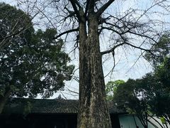 -三苏祠