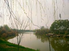 -白鹭湾湿地公园