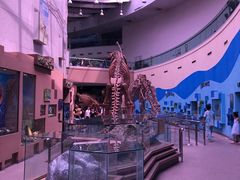 -陕西自然博物馆