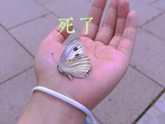 -四川宋瓷博物馆