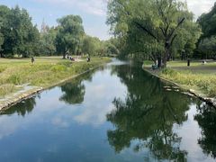 -上海共青森林公园