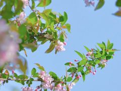 -全季酒店(重庆上清寺牛角沱地铁站店)