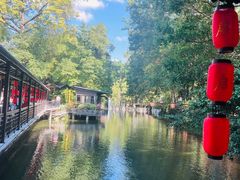 -侨美·唐荔园·40年地道粤菜