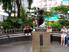 -台场海滨公园船码头