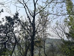 -虞山风景区