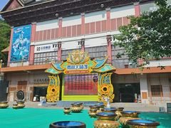 -西双版纳原始森林公园