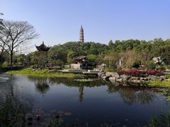 -顺峰山公园