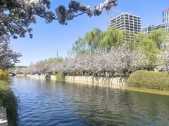 -元大都城垣遗址公园