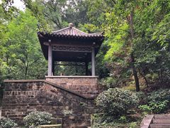 -北极阁公园