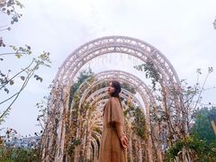 -大塘金香草谷