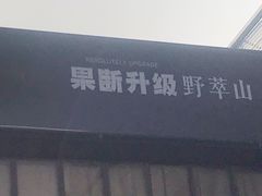 -野萃山·潮汕厚果汁(十亩地店)