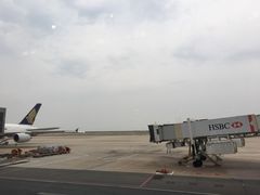 -上海浦东国际机场-T2航站楼