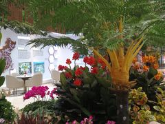 -恒大世纪梦幻城