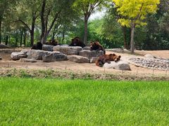 -北京野生动物园