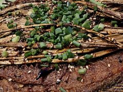 -别院里音乐餐酒吧(双流航空港店)