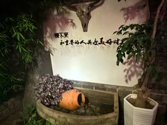-慢丽江·云南野生菌土鸡锅(付家庄店)