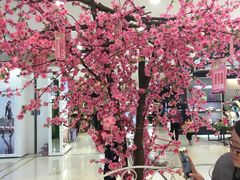 -厦门大西洋天虹百货商场