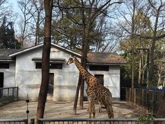 -杭州动物园